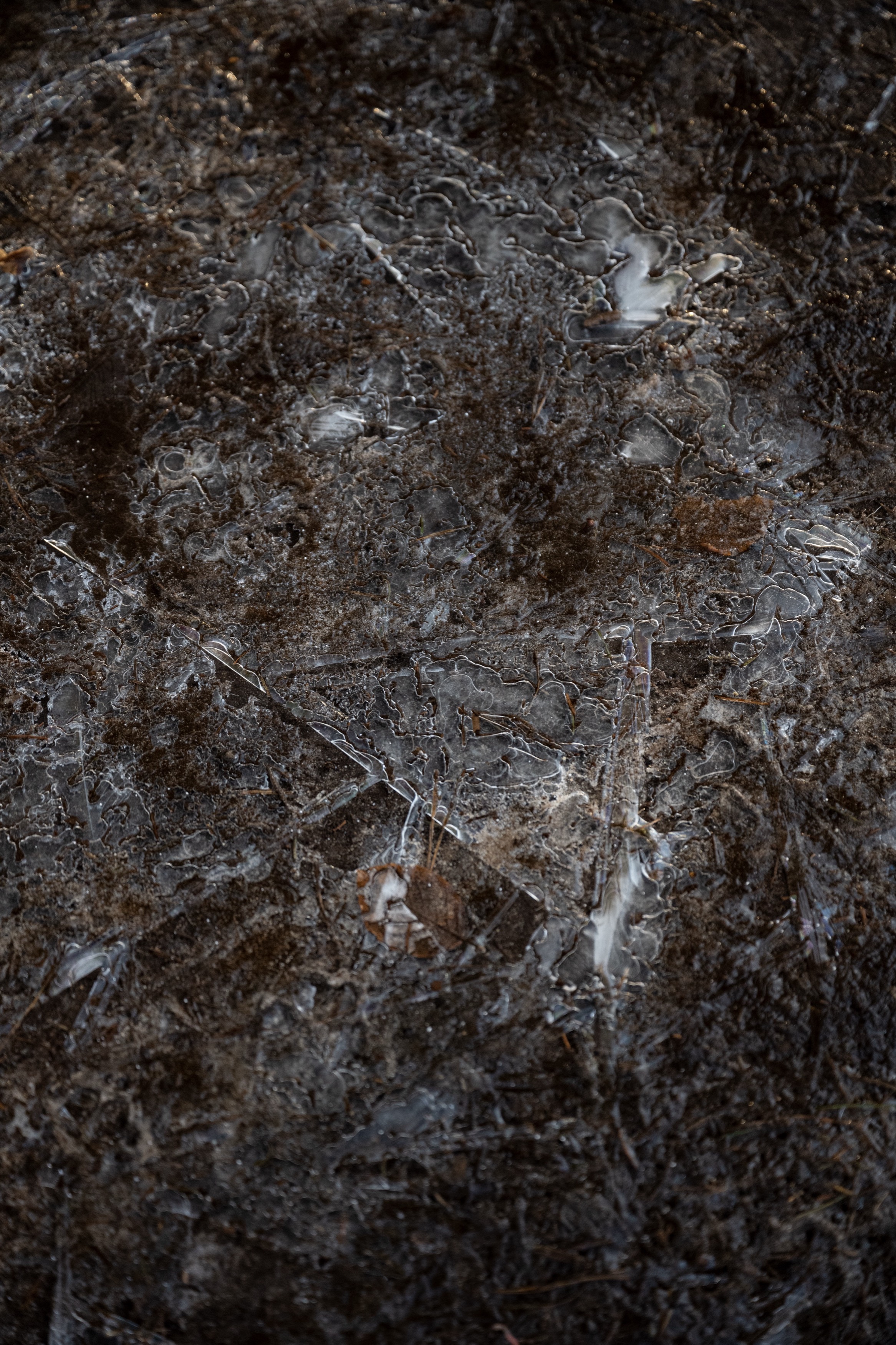 Studio HENK Trace Outdoor